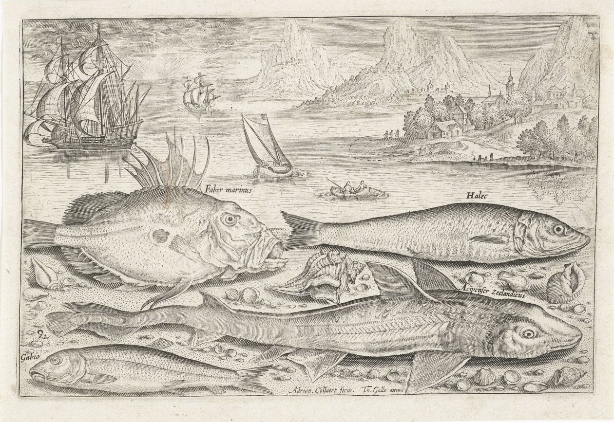 Fire fisk på stranden Fiskeri (serietitel) Piscium vivae-ikoner (serietitel) af Adriaen Collaert