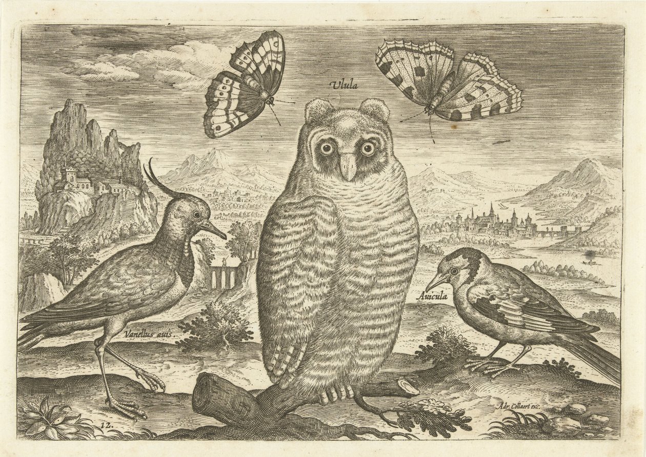 Fugle og sommerfugle i et landskab Fugle (serietitel) Avium vivae (serietitel) af Adriaen Collaert