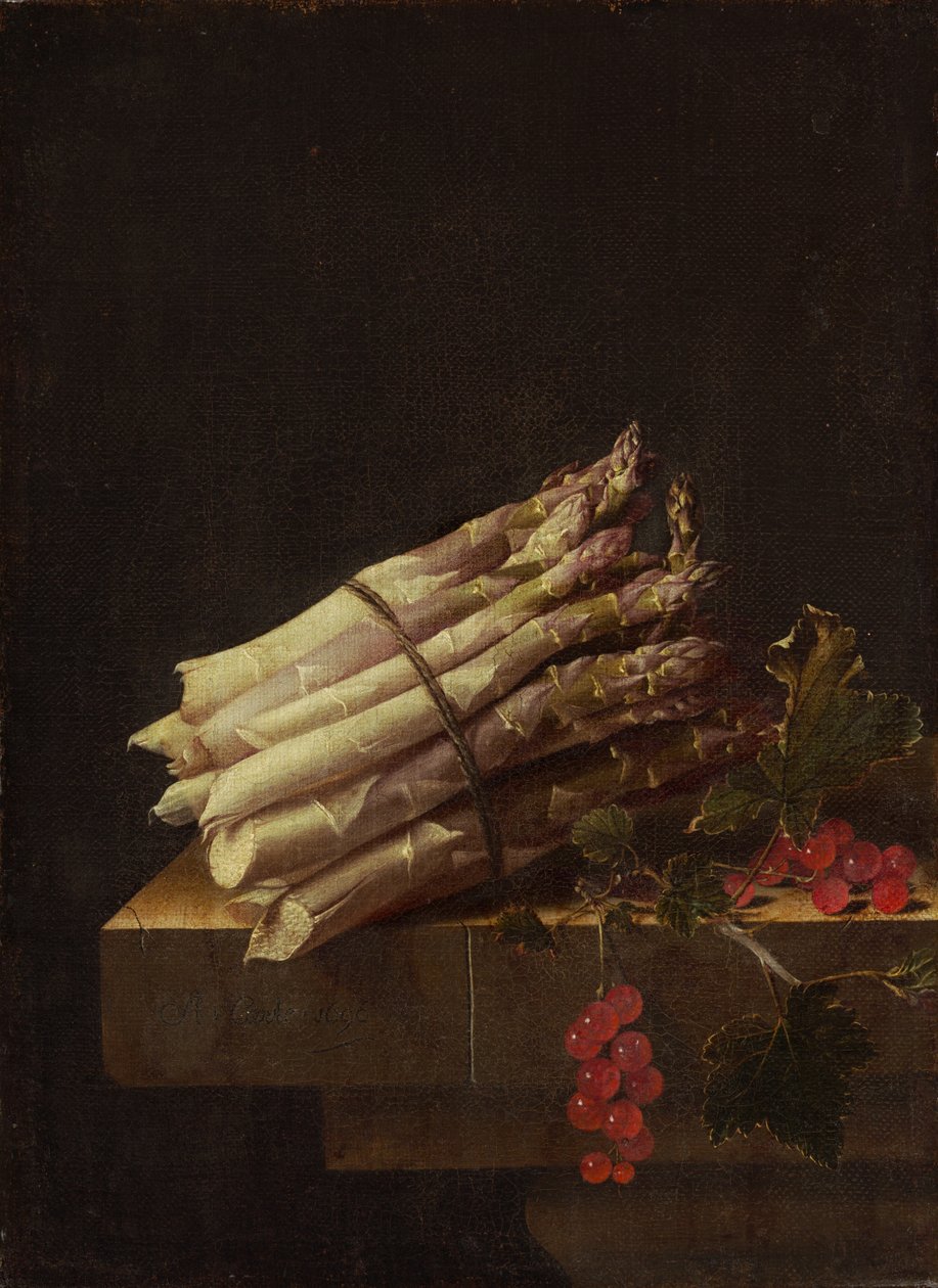 Stilleben med asparges og ribs af Adrian Coorte
