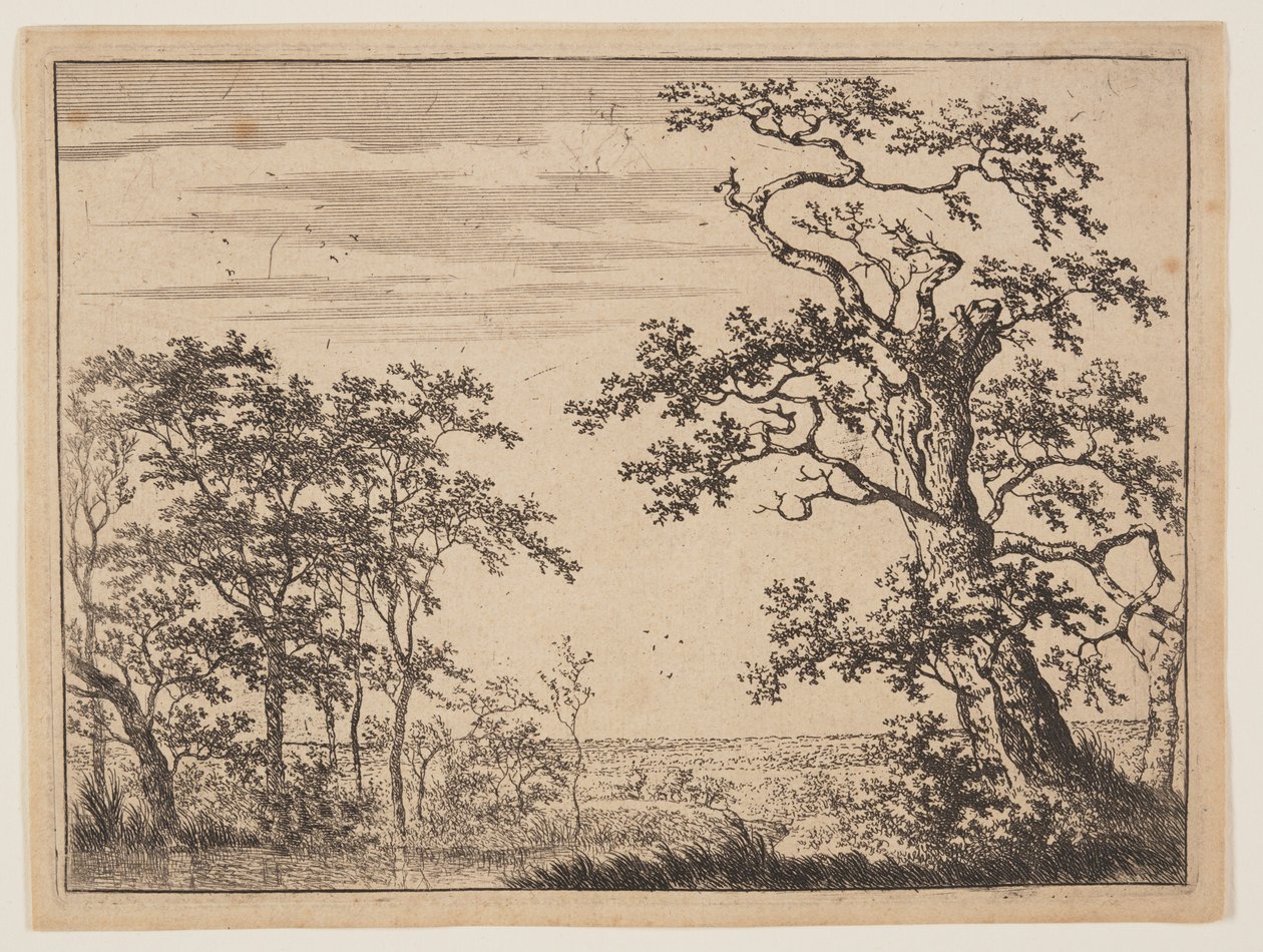 Dammen af Adriaen Hendricksz. Verboom