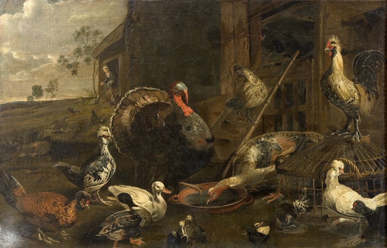 Høns, ænder og en kalkunhane af Adriaen van Utrecht