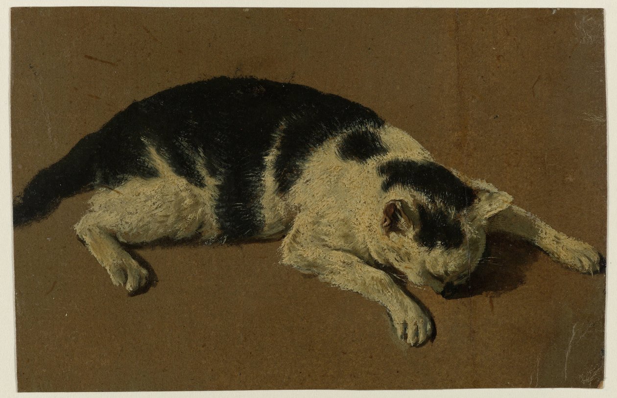 Kat liggende med hovedet mellem forbenene af Adriaen van de Velde (attributed to)