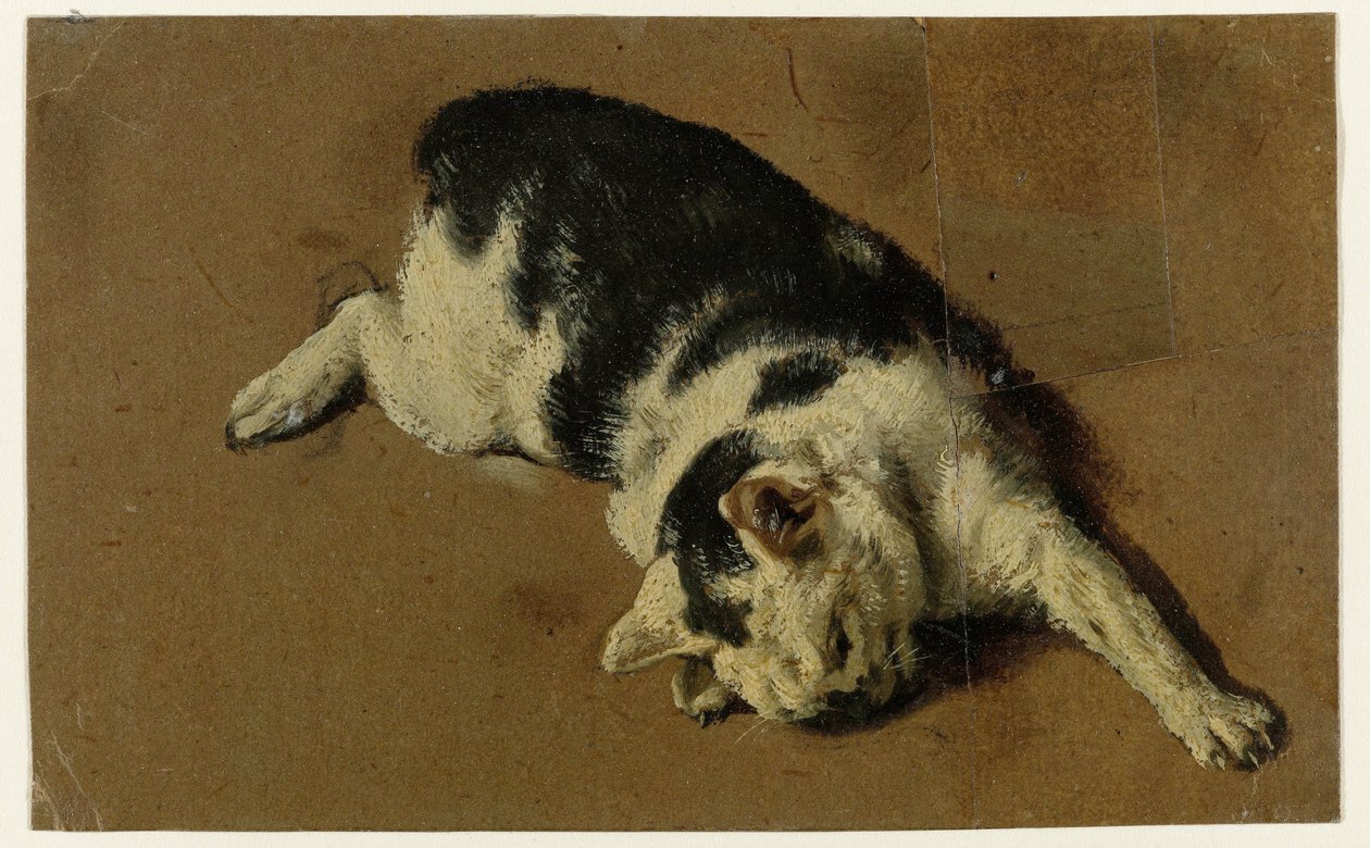 Kat ligger på siden, den venstre forben enorme af Adriaen van de Velde (attributed to)