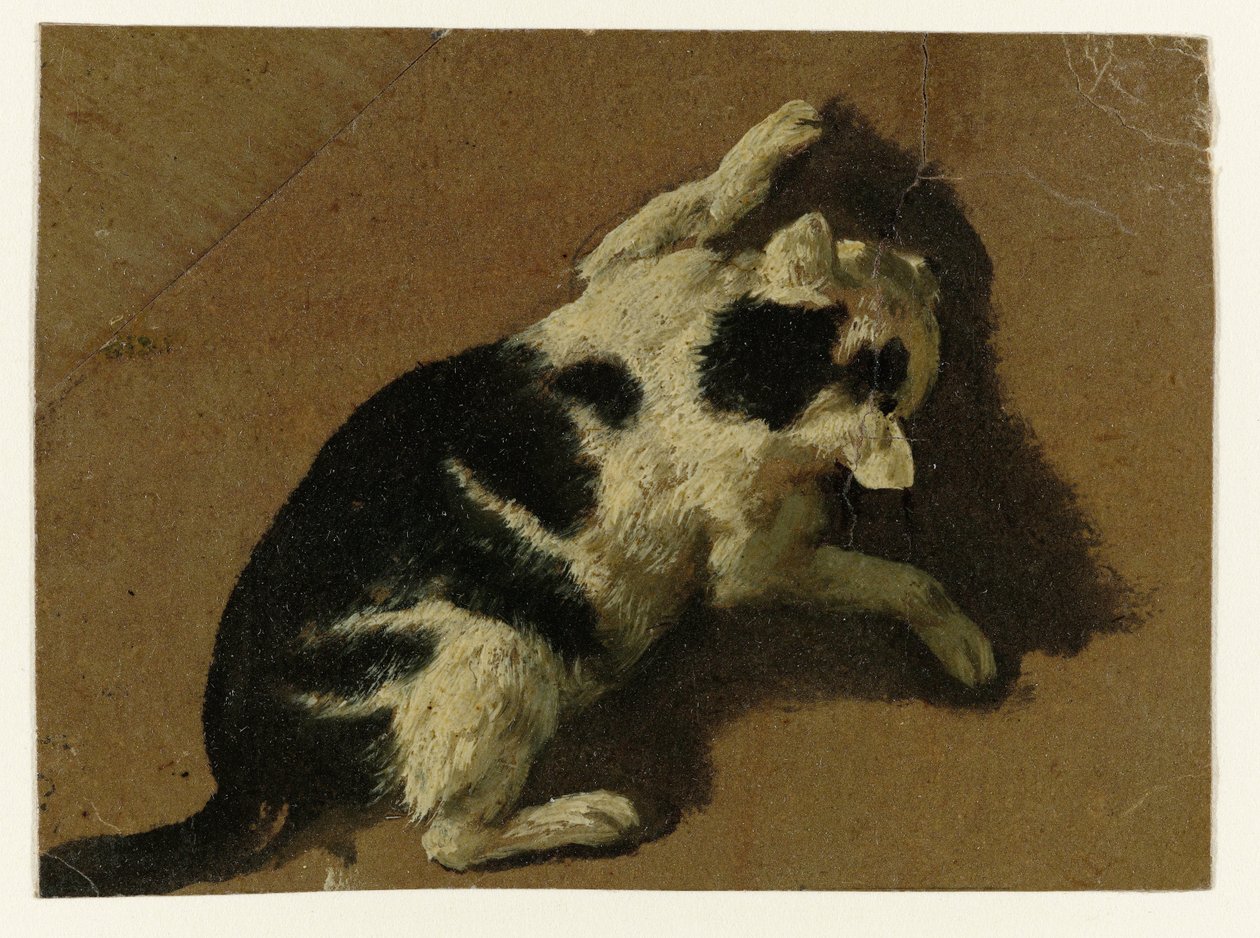 Kat, der leger nær en væg af Adriaen van de Velde (attributed to)