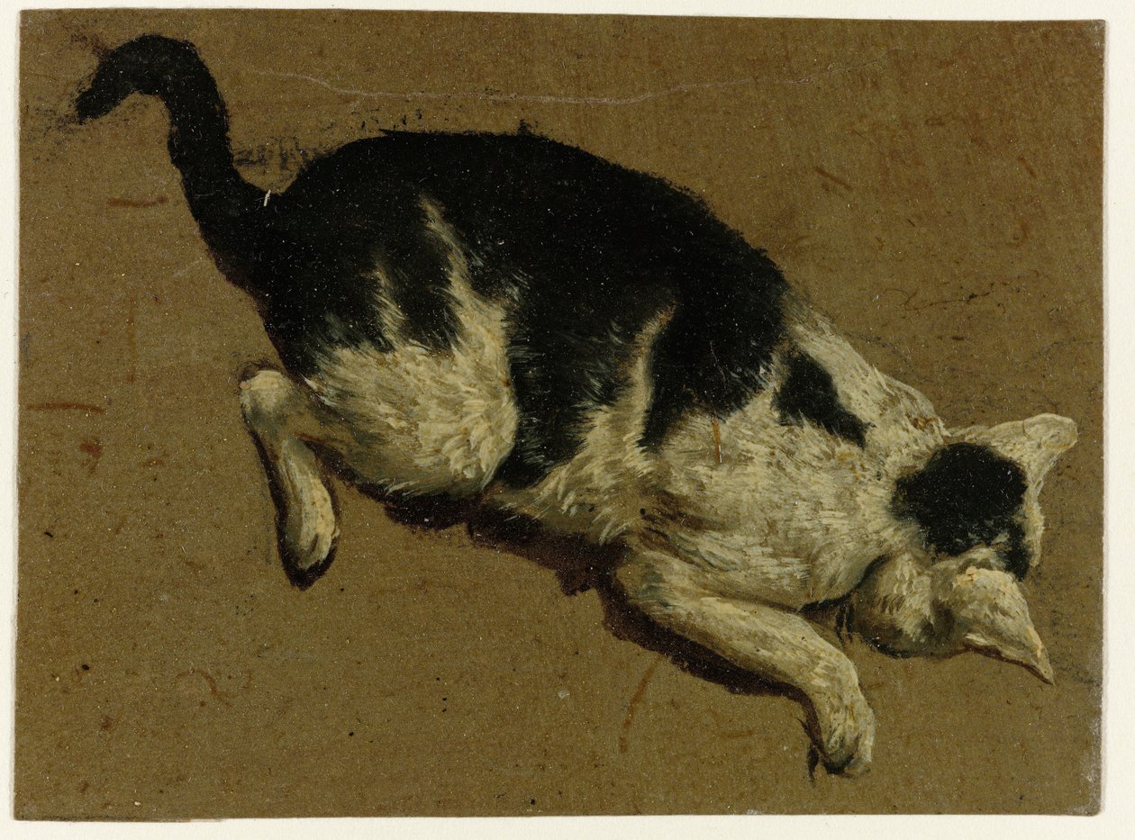 Kat ser ned fra en platform af Adriaen van de Velde (attributed to)