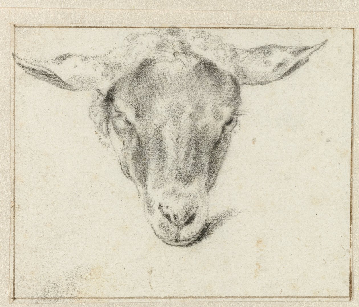 Fårehoved, forfra af Adriaen van de Velde (attributed to)