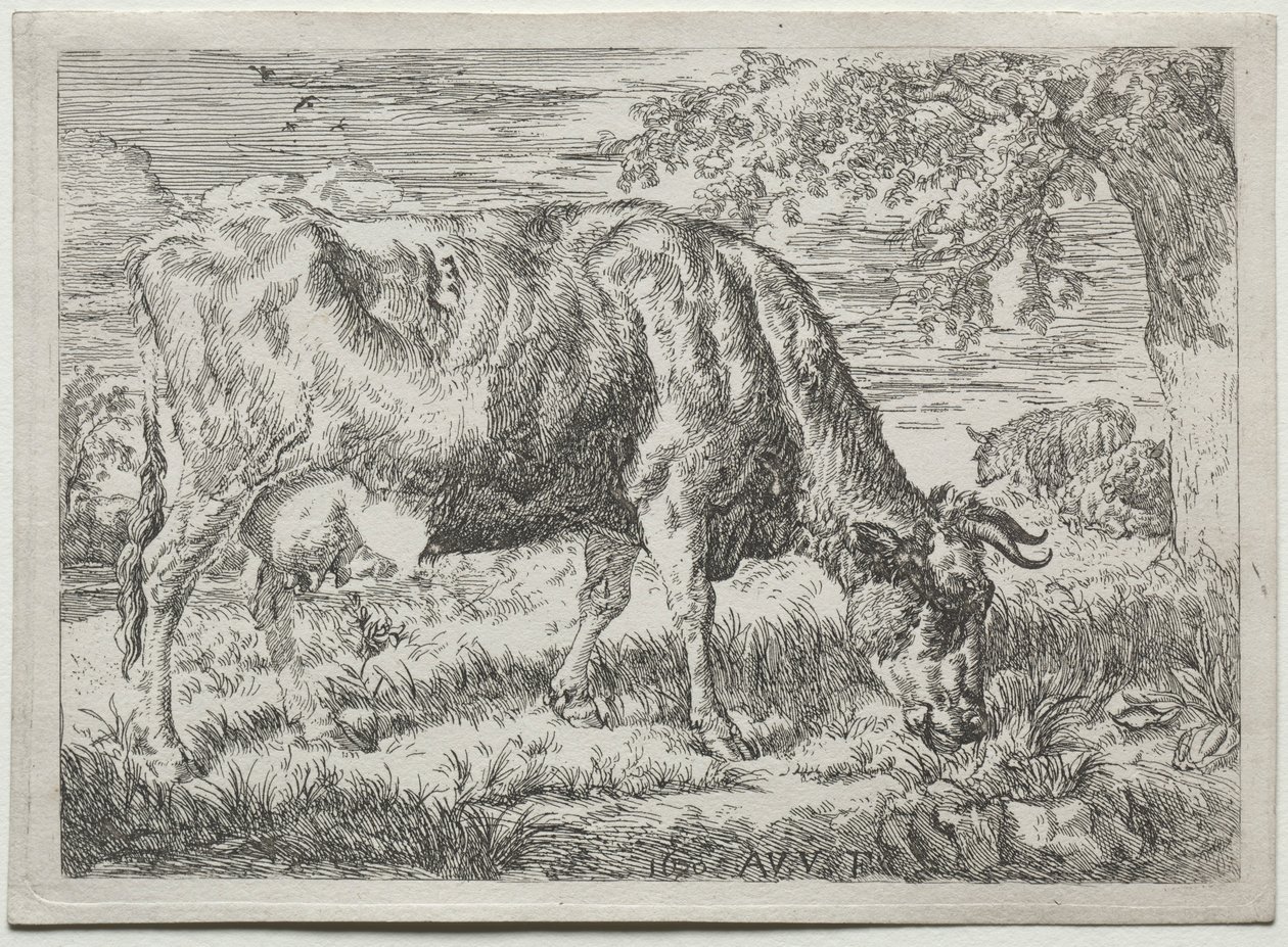 Ko og to får ved foden af et træ, 1670. af Adriaen van de Velde
