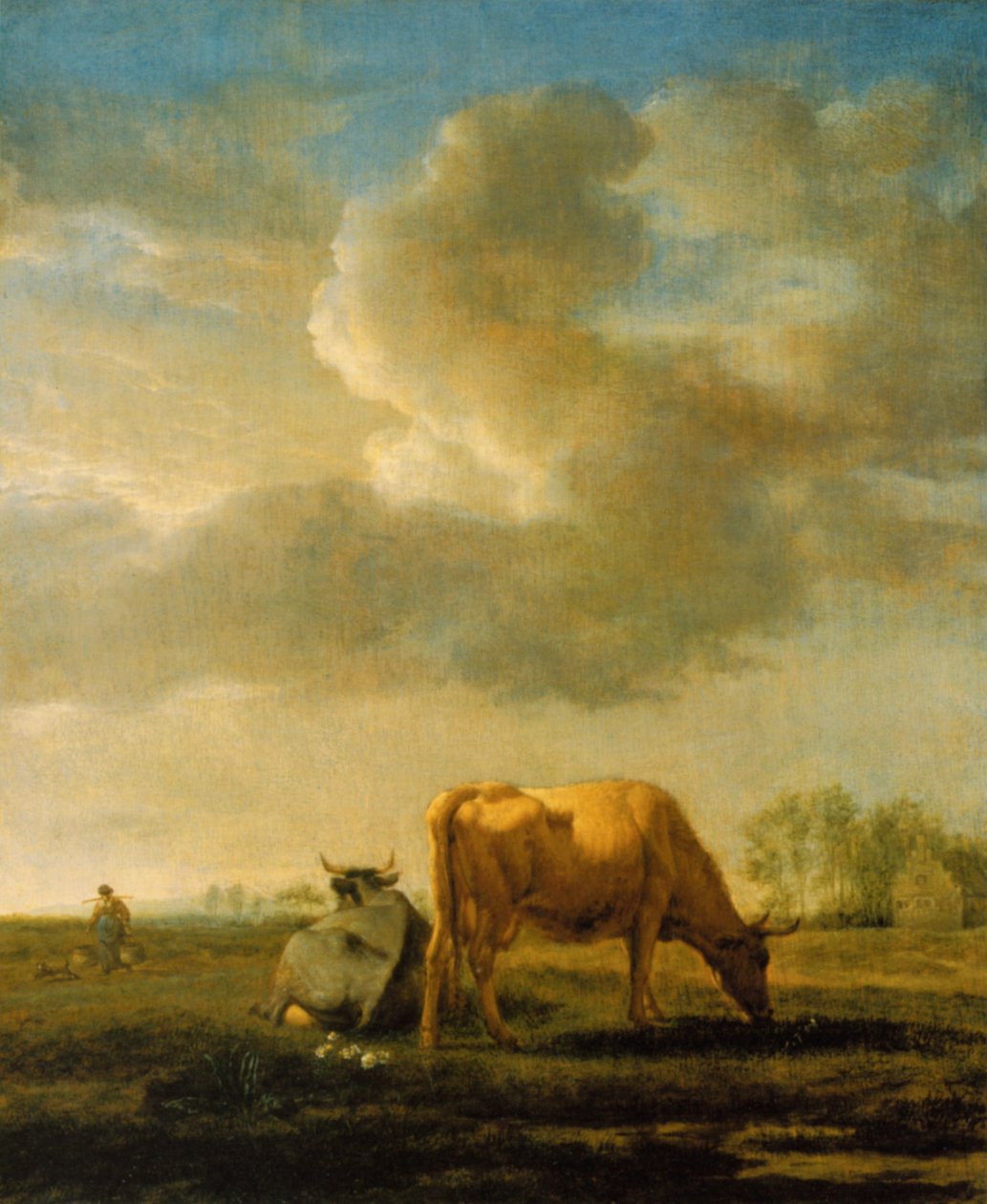 Køer på en mark af Adriaen van de Velde
