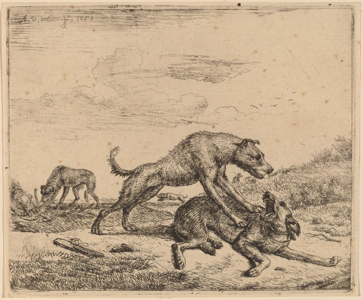 Kamphunde af Adriaen van de Velde