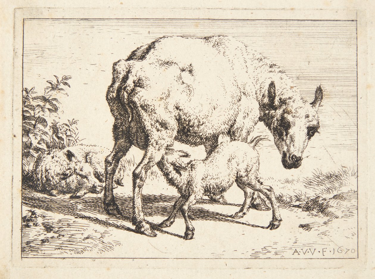 Får og to lam af Adriaen van de Velde