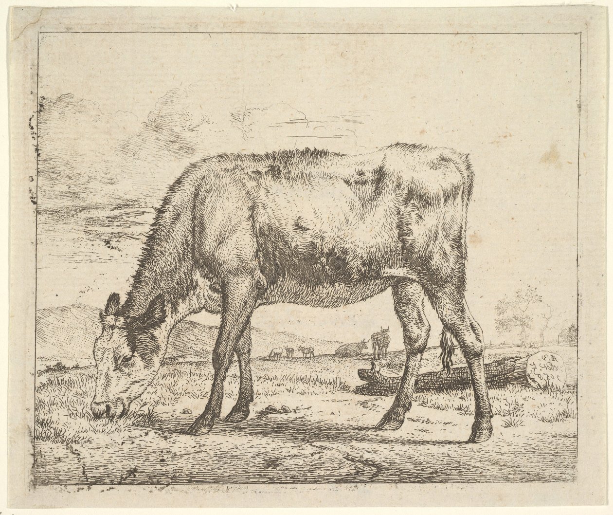 Græssende kalv, fra forskellige dyr, 1658. af Adriaen van de Velde