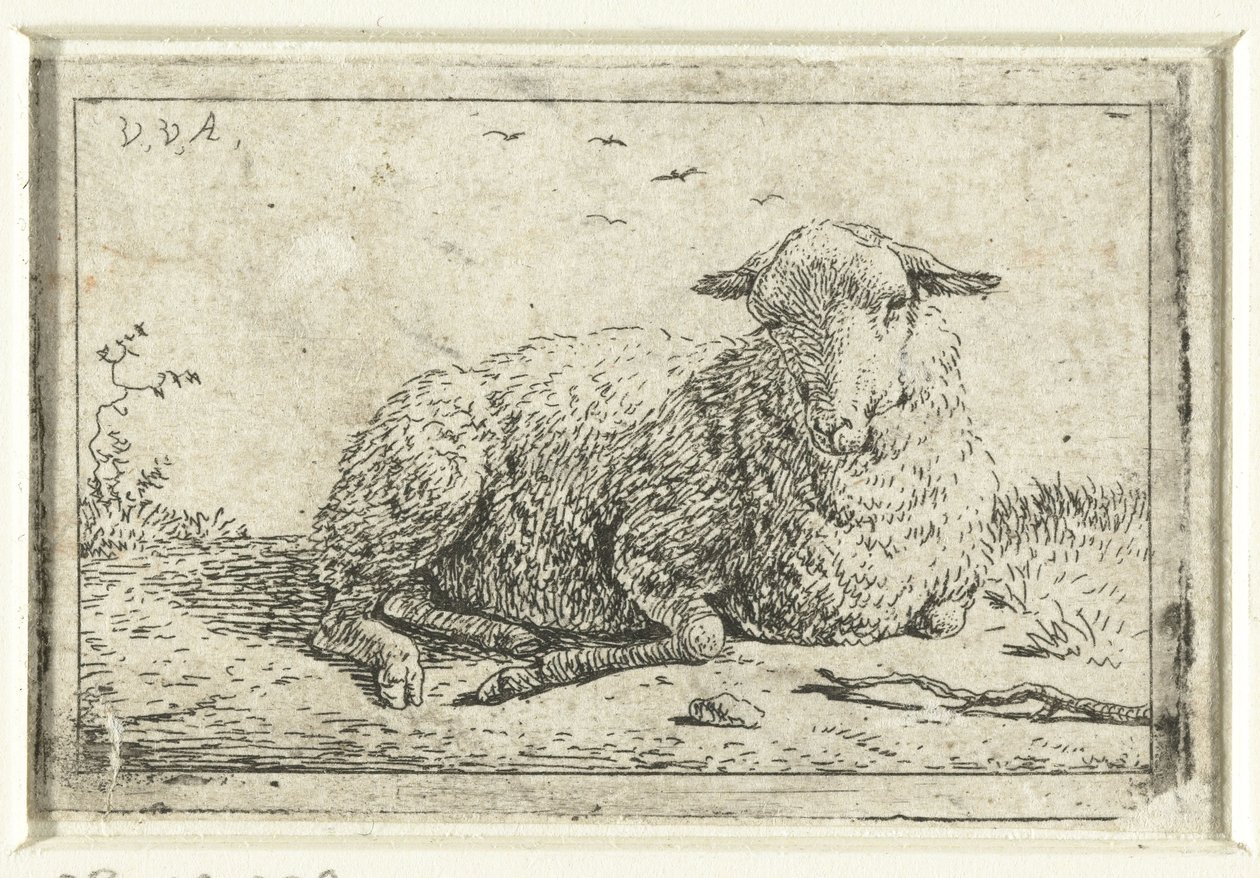 liggende får af Adriaen van de Velde