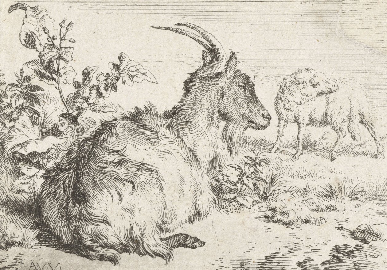 Liggende ged, 1670 af Adriaen van de Velde