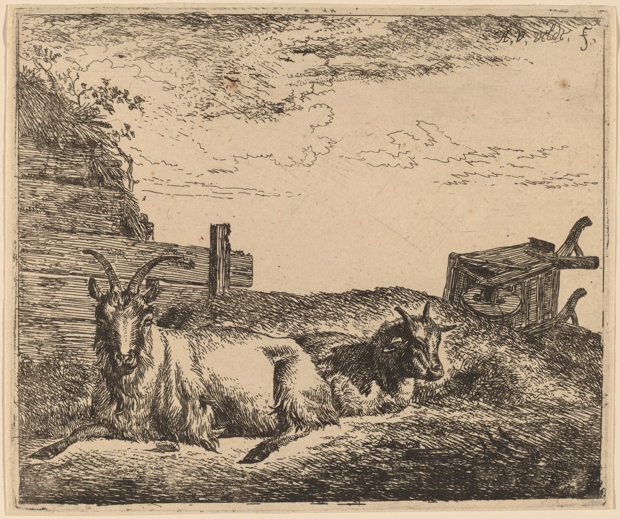 Liggende geder af Adriaen van de Velde