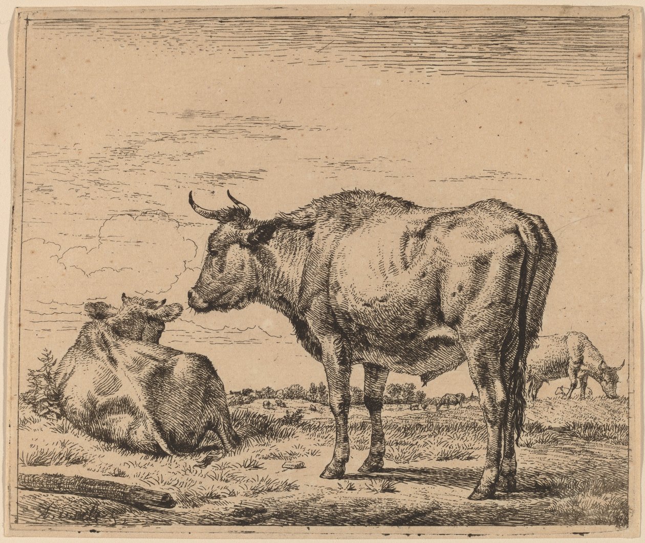 Stående Tyr af Adriaen van de Velde