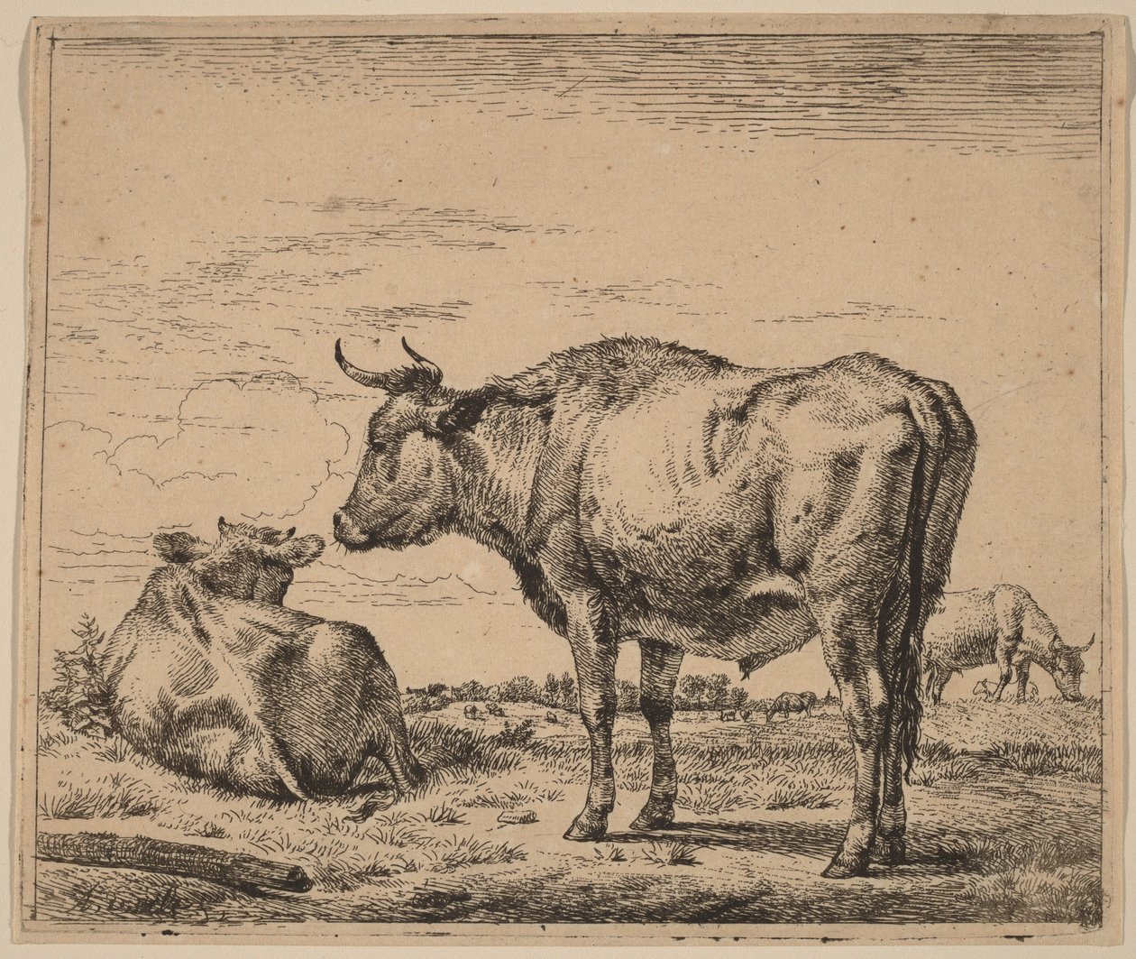 Stående tyr af Adriaen van de Velde