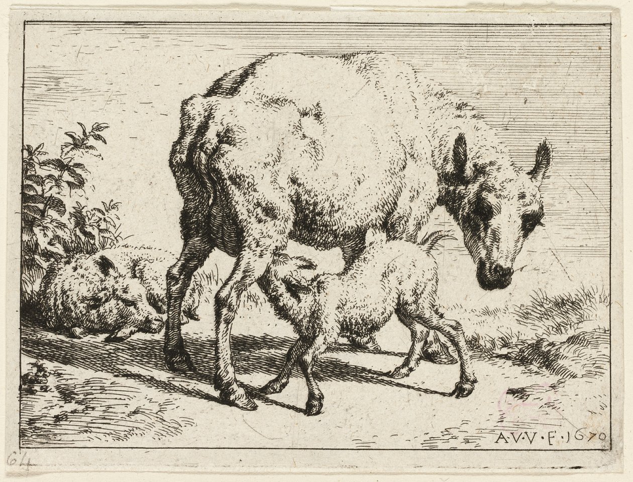 Lammet af Adriaen van de Velde