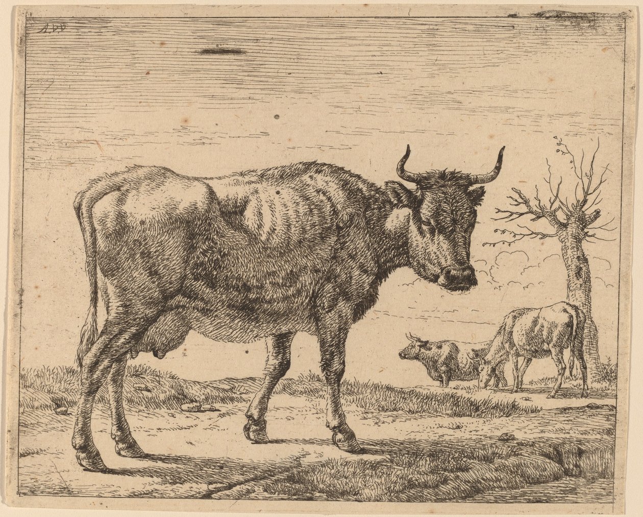 Tre køer af Adriaen van de Velde