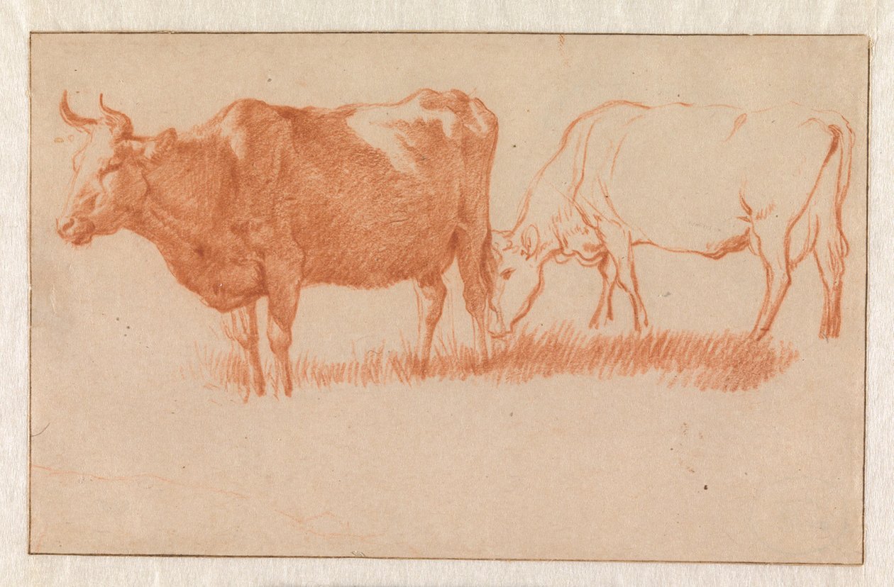 To køer af Adriaen van de Velde