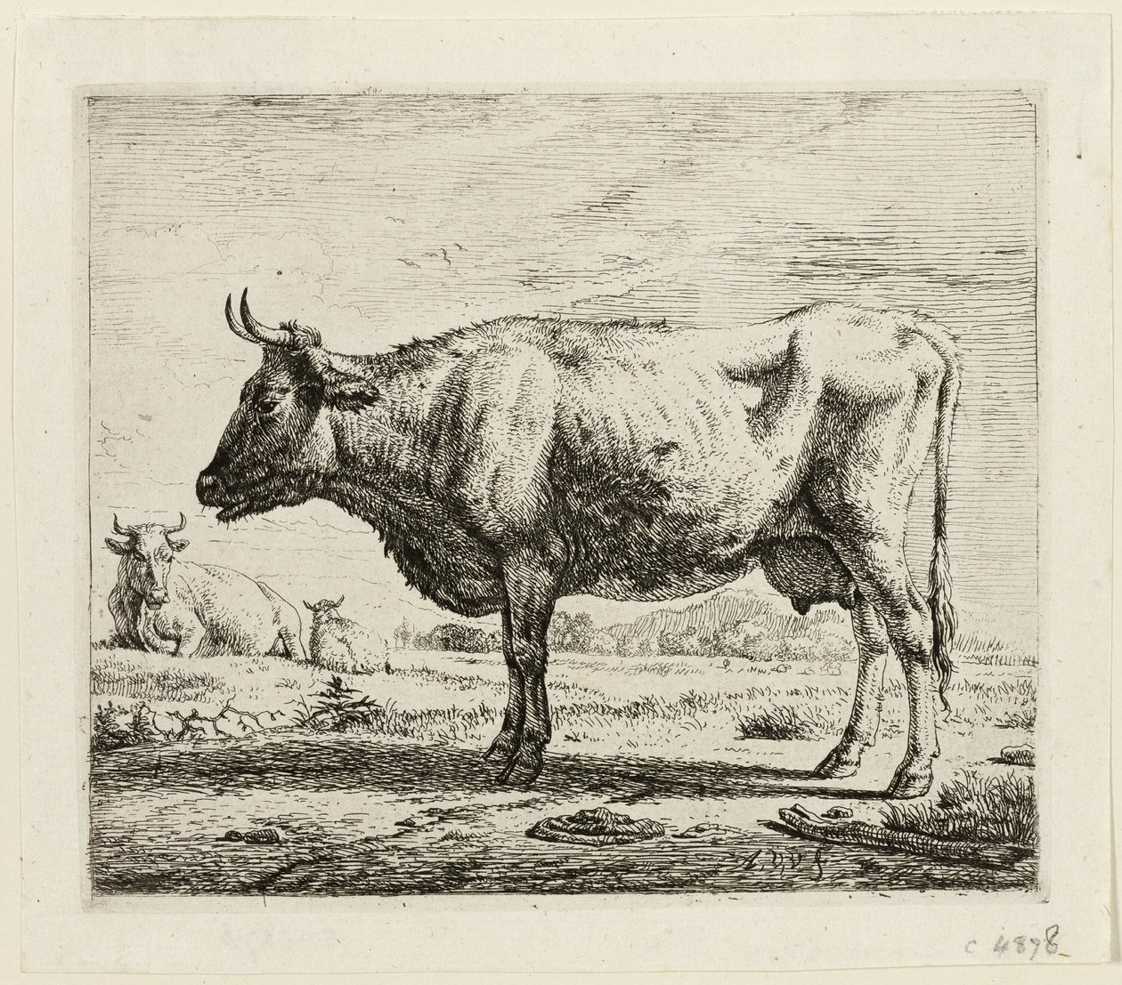 To køer og et får af Adriaen van de Velde