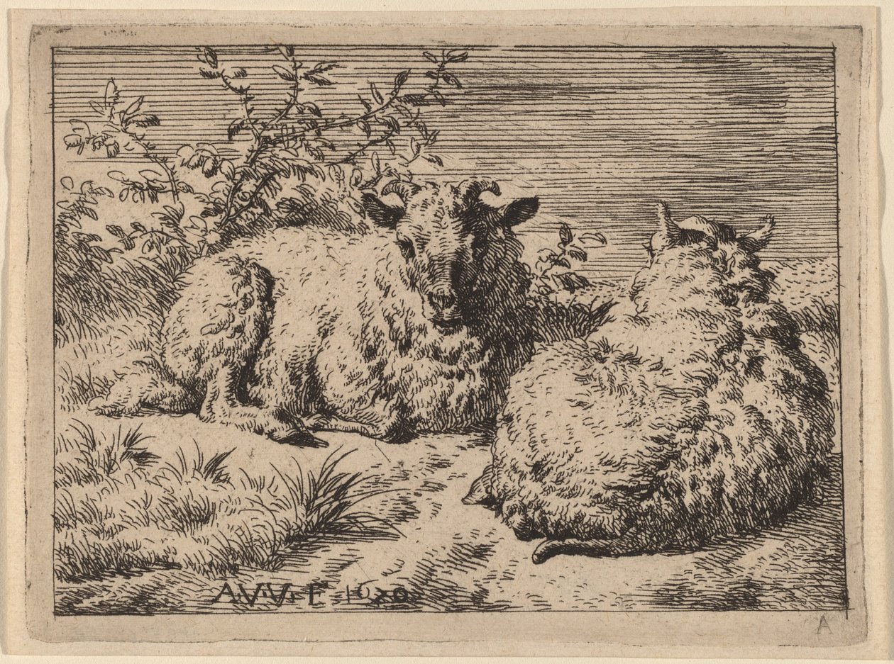 To liggende får af Adriaen van de Velde