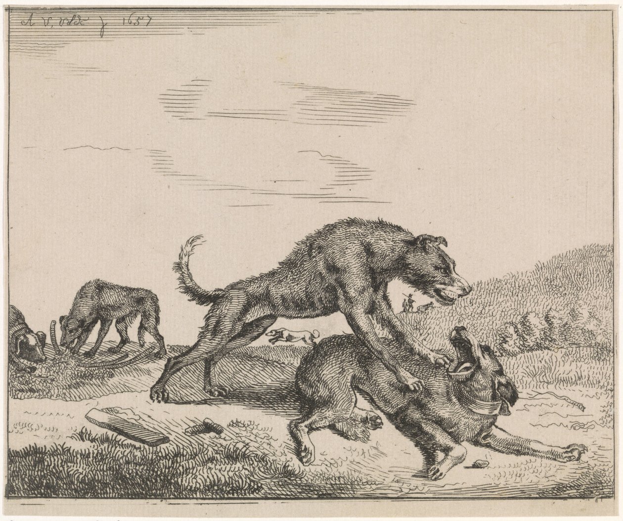 kamphunde Husdyr (serietitel) af Adriaen van de Velde
