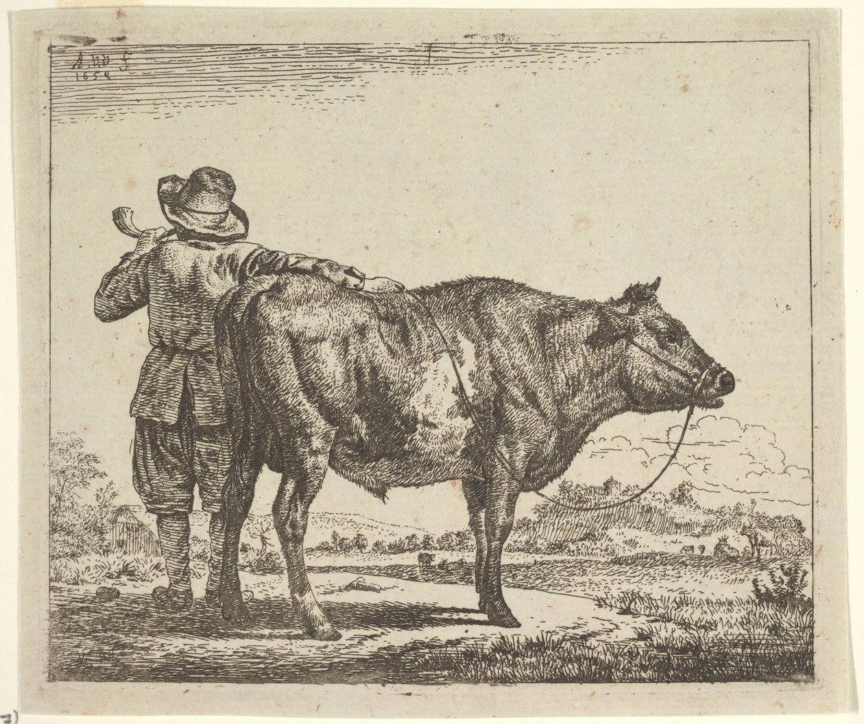 Ung hyrde med en tyr, fra forskellige dyr, 1659. af Adriaen van de Velde