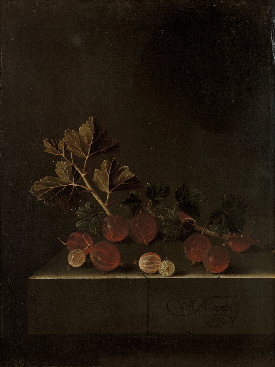En kvist stikkelsbær på en stensokkel, 1699 af Adrian Coorte