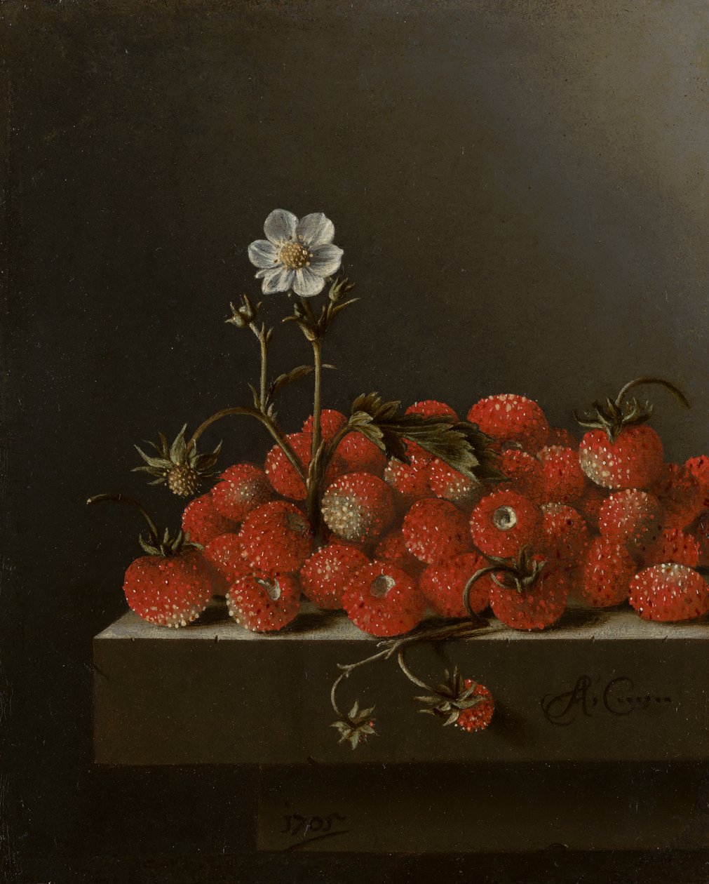 Stilleben med vilde jordbær, 1705 (olie på papir på panel) af Adrian Coorte