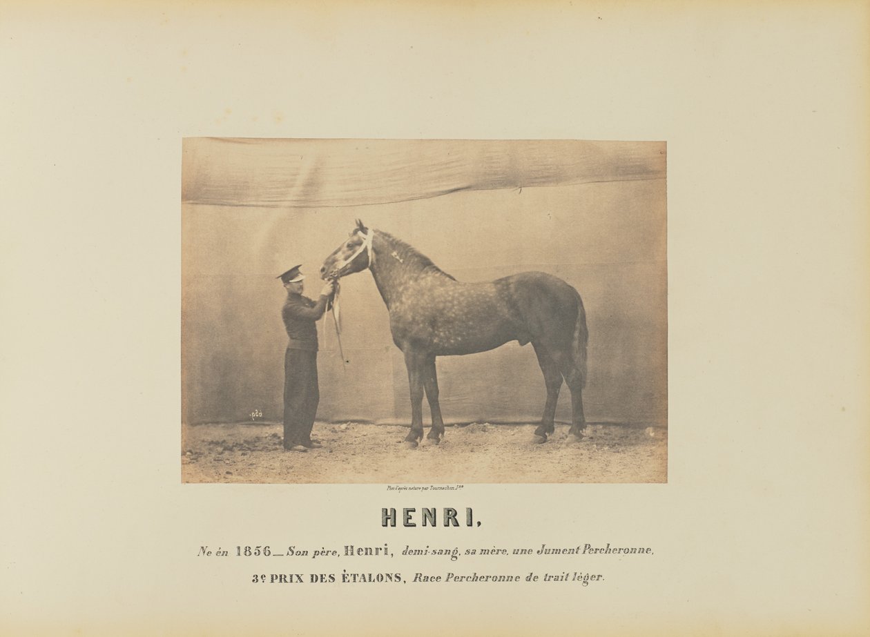 Henri af Adrien Alban Tournachon