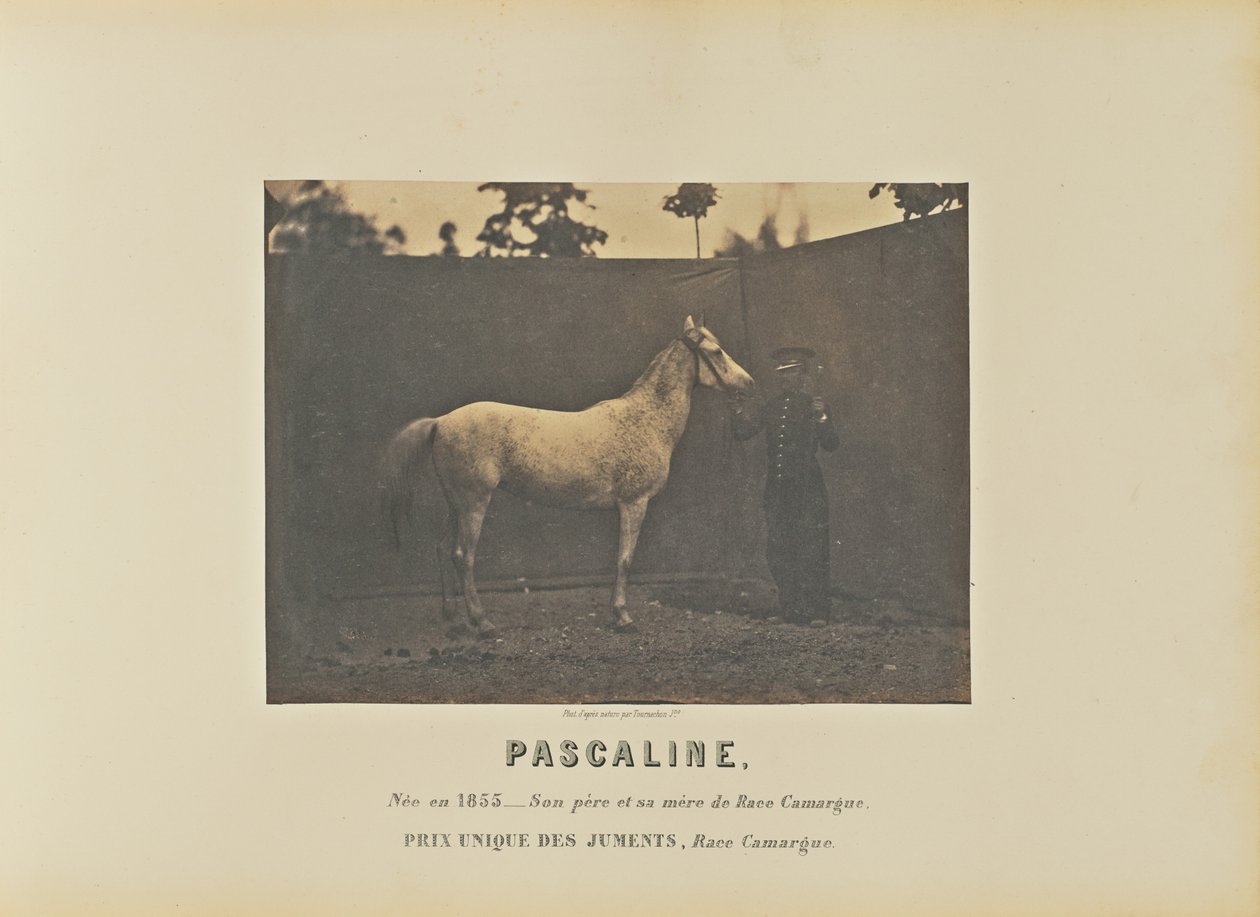 Pascaline af Adrien Alban Tournachon