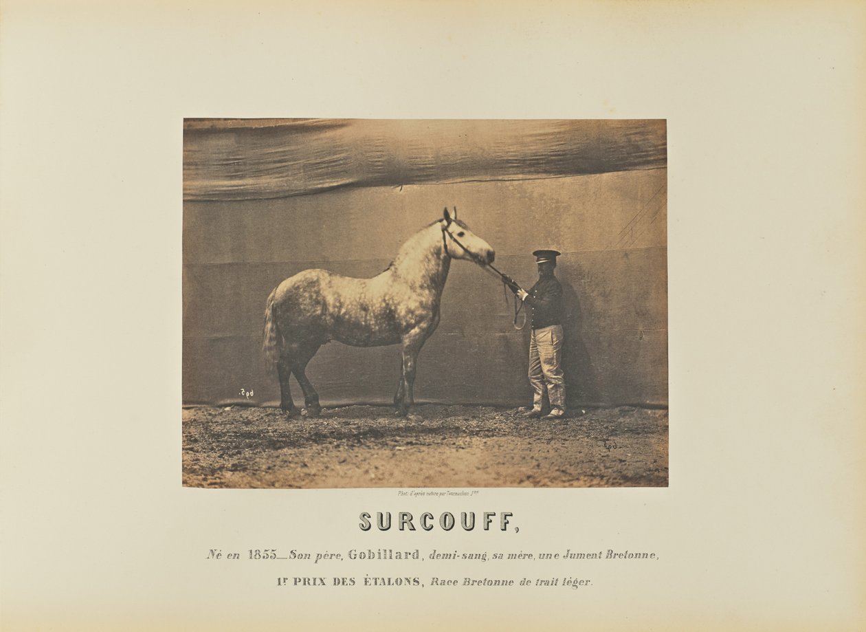 Surcouff af Adrien Alban Tournachon