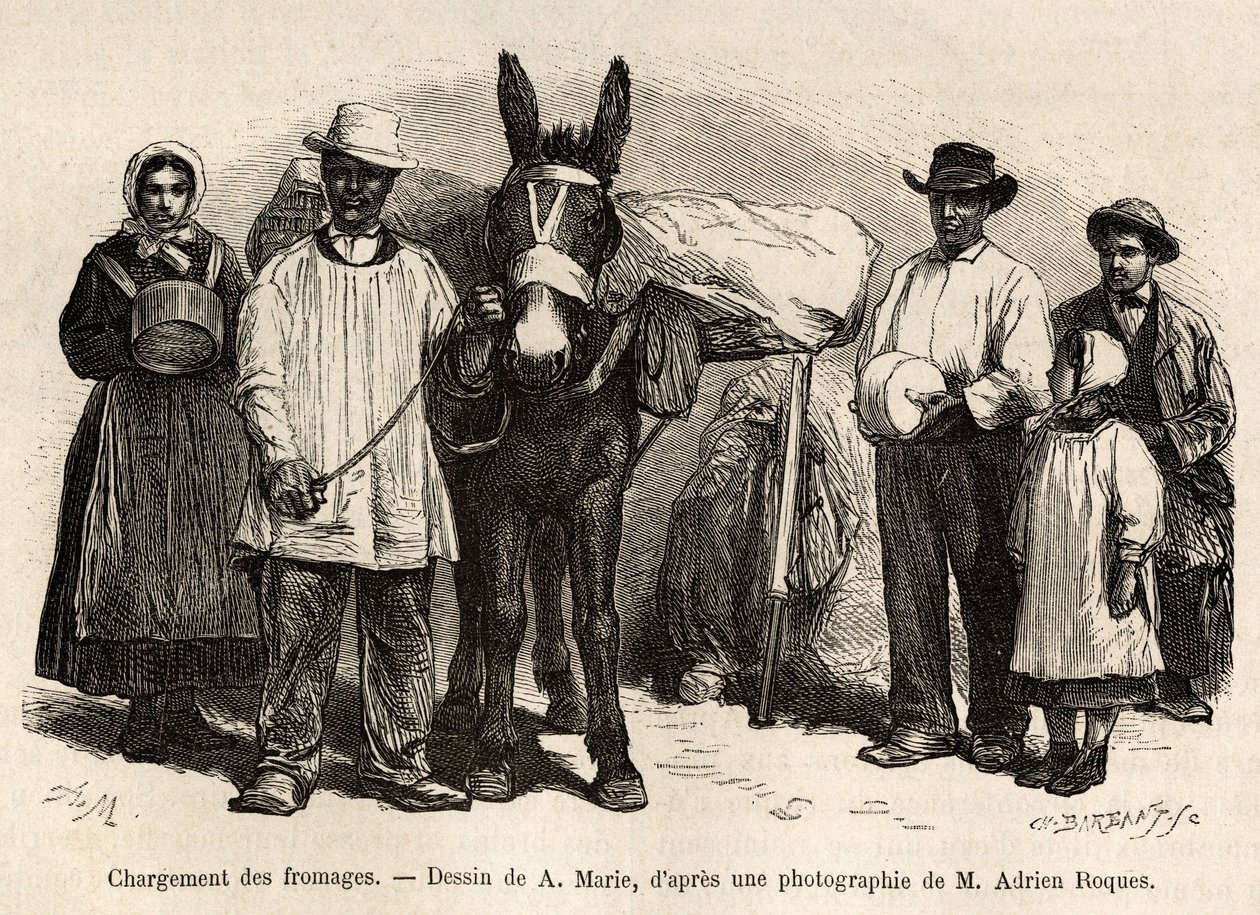 Indlæsningen af oste på bagsiden af en muldyr, mod kældre i Roquefort, gravering efter en tegning af A.Marie, der illustrerer en rejse til Roquefort og dens omgivelser, af Adrien Roques og Jules Charton, i 1874, udgivet i “” Le Tour du Monde ”” ” af Adrien Emmanuel Marie