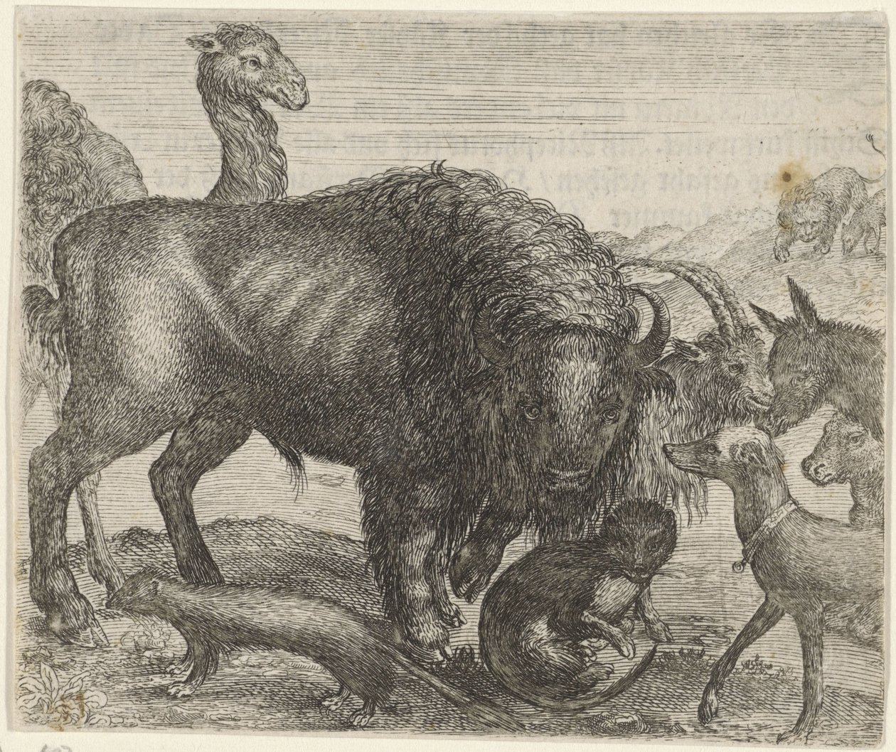 Fabel om bisonen og de andre dyr af Egidius  Sadeler (II)