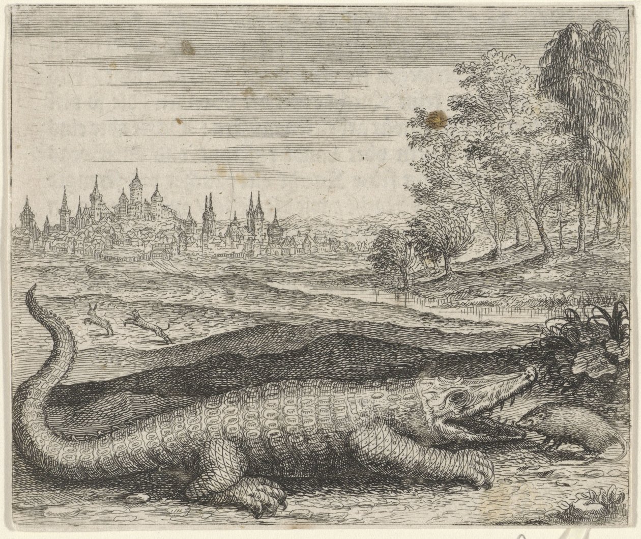 Fabel om krokodille og mangust af Egidius  Sadeler (II)