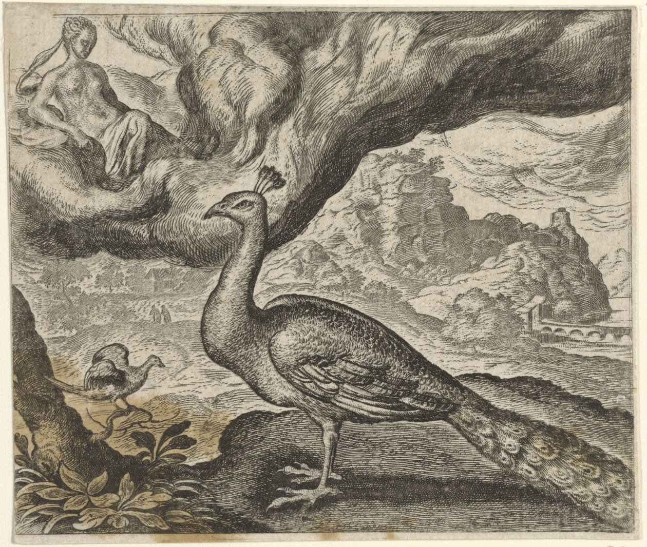Fabel om påfuglen og nattergalen af Egidius  Sadeler (II)
