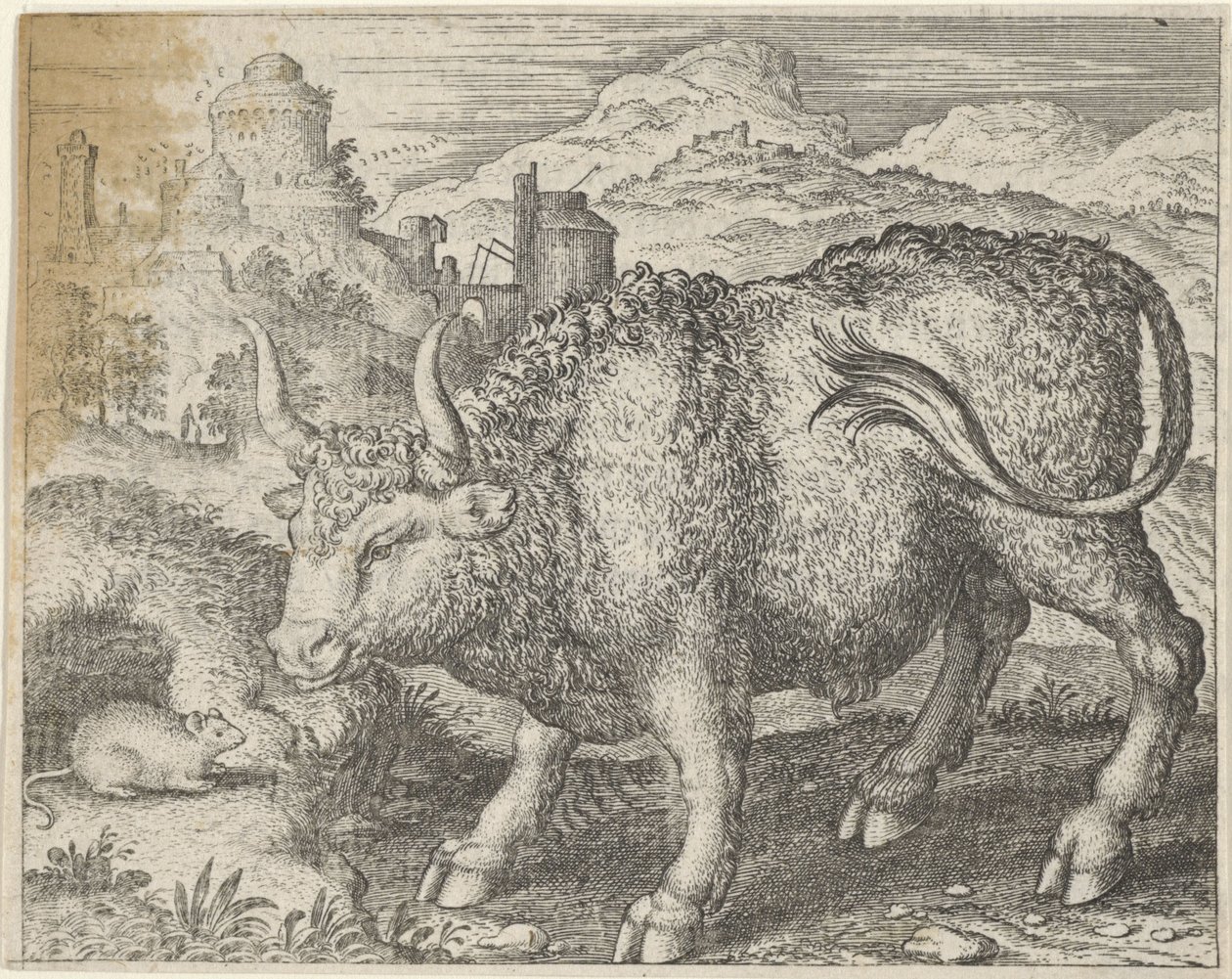 Fabel om Tyren og Musen af Egidius  Sadeler (II)