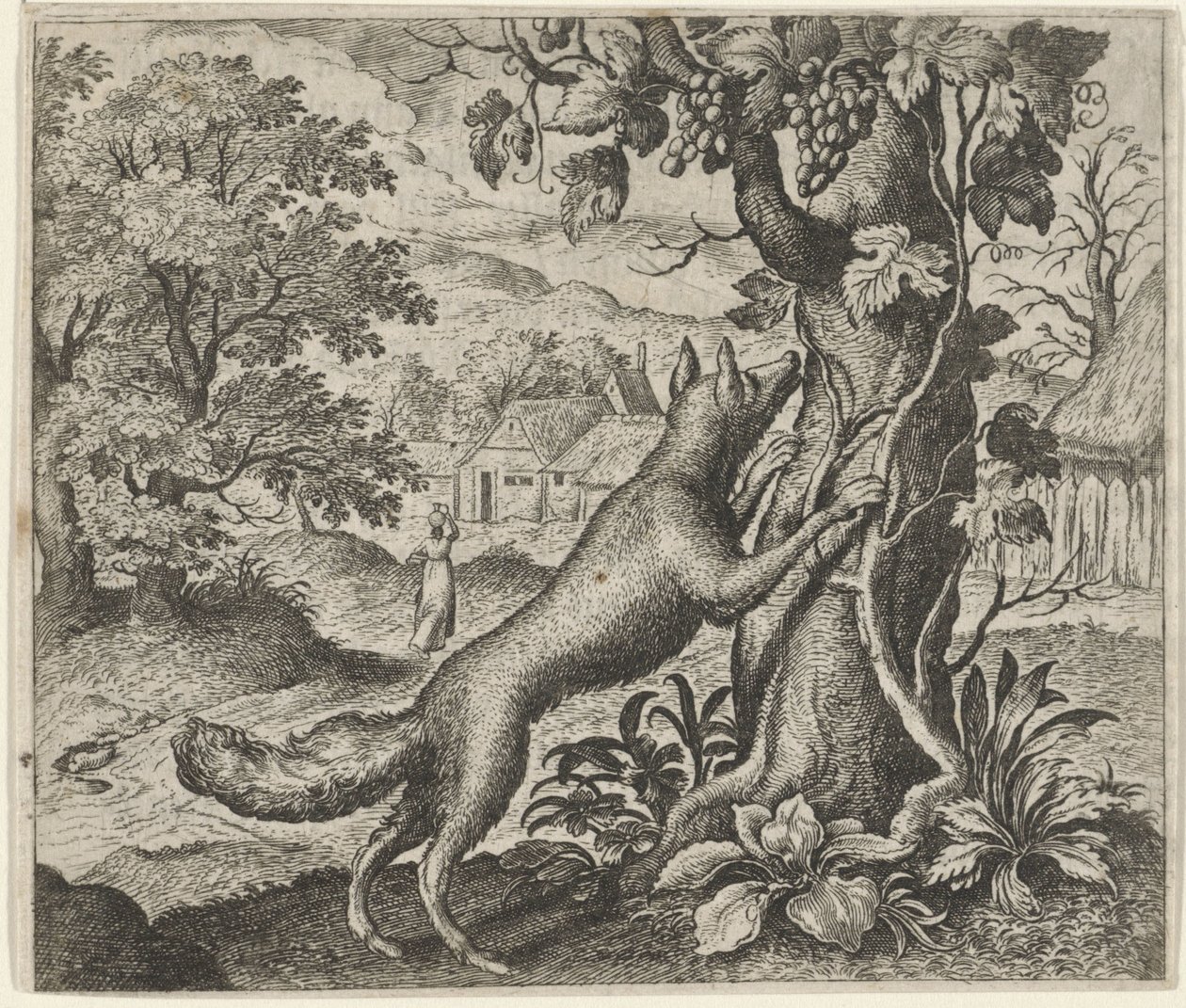 Fabel om ræven og druerne af Egidius  Sadeler (II)