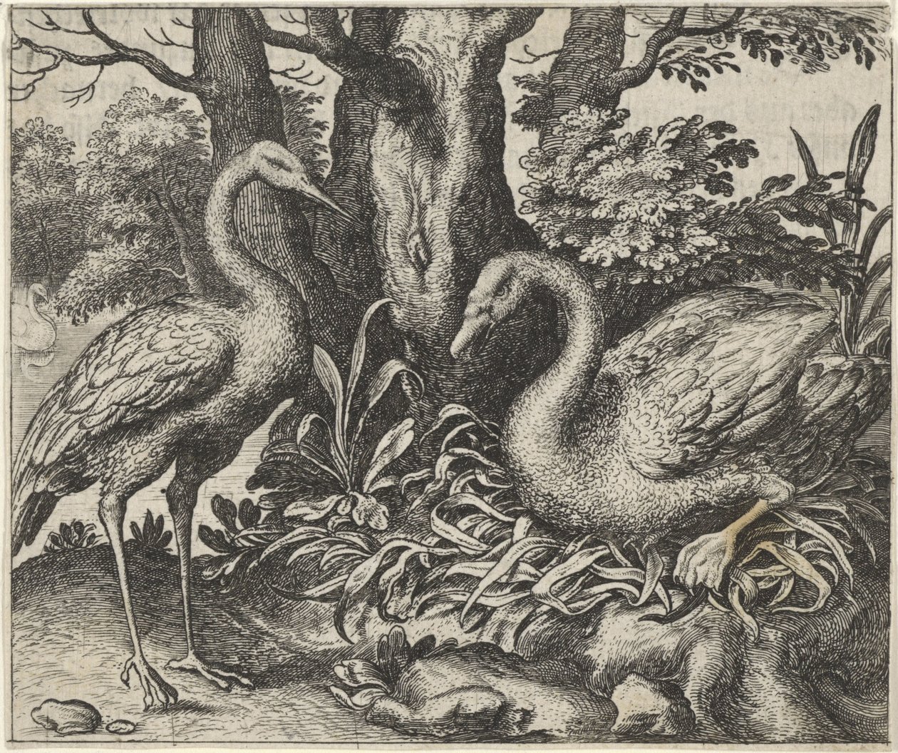 Fabel om Svanen og Storken af Egidius  Sadeler (II)