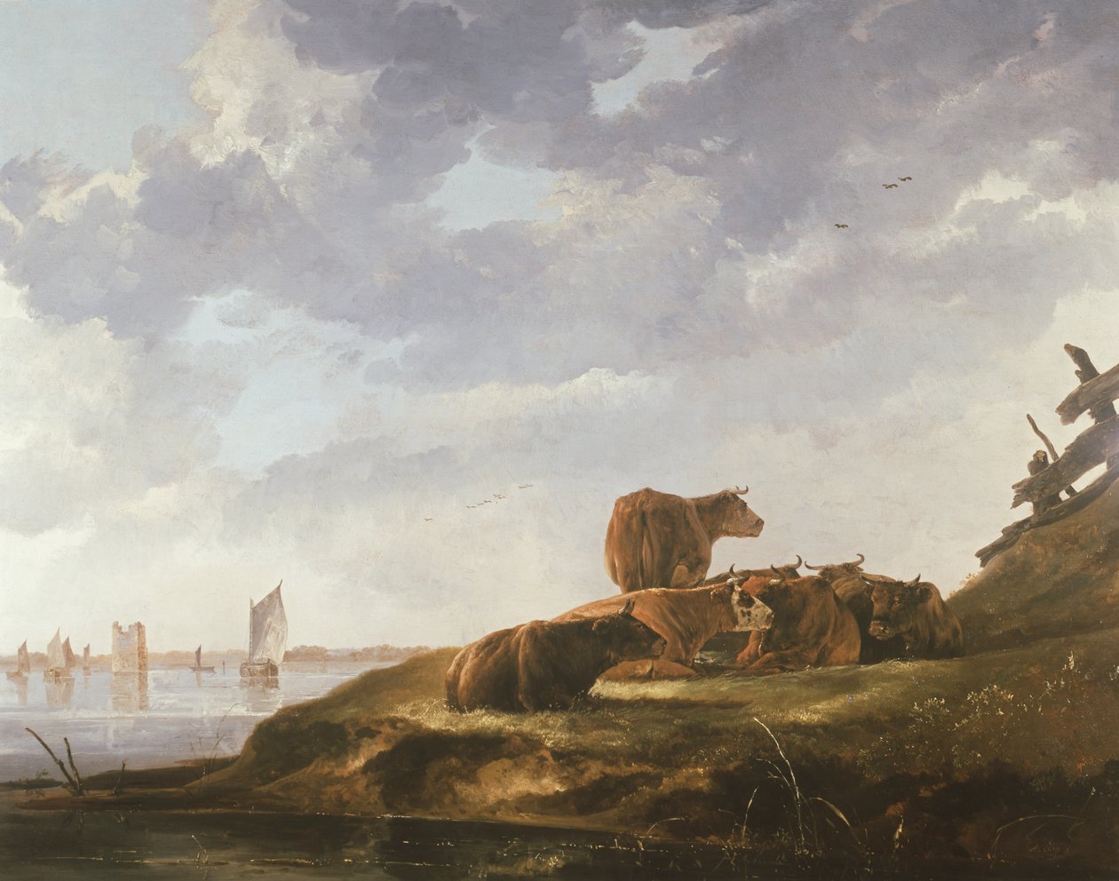 Syv køer af Aelbert Cuyp