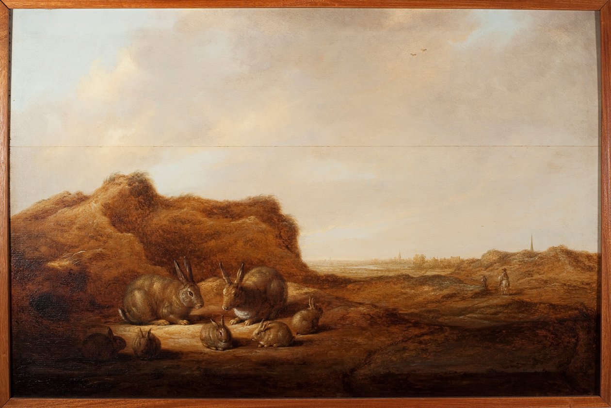 Landskab med kaniner Maleri af Albert (Aelbert eller Aelbrecht) Cuyp (1620-1691) 1641-1642 Dim. 44x67 cm Genes, Musei di Strada Nuova (ex Palazzo Rosso) af Aelbert Cuyp