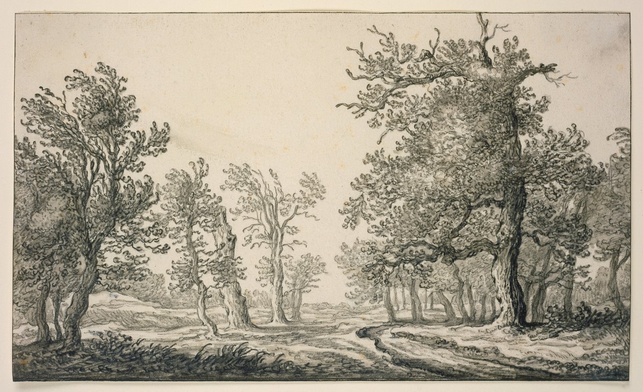 Stien gennem en egeskov af Aelbert Cuyp