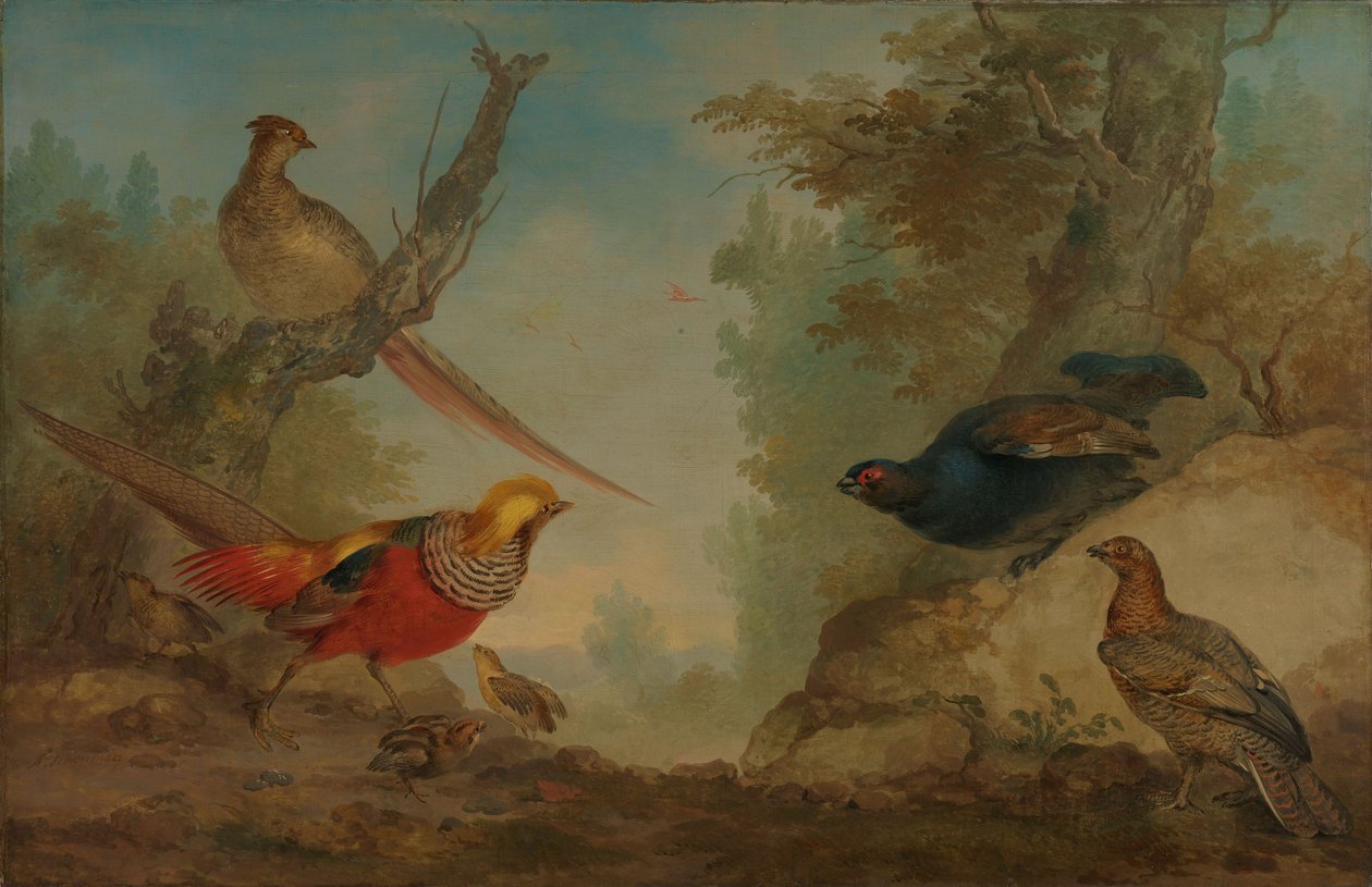 Fasaner af Aert Schouman