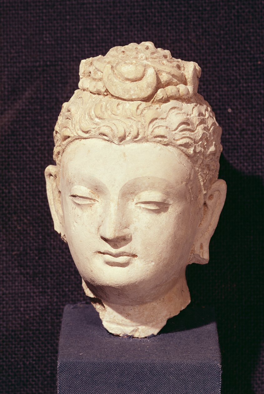 Hoved af en Buddha, græsk-buddhistisk stil, fra Hadda (stuk) af Afghan School