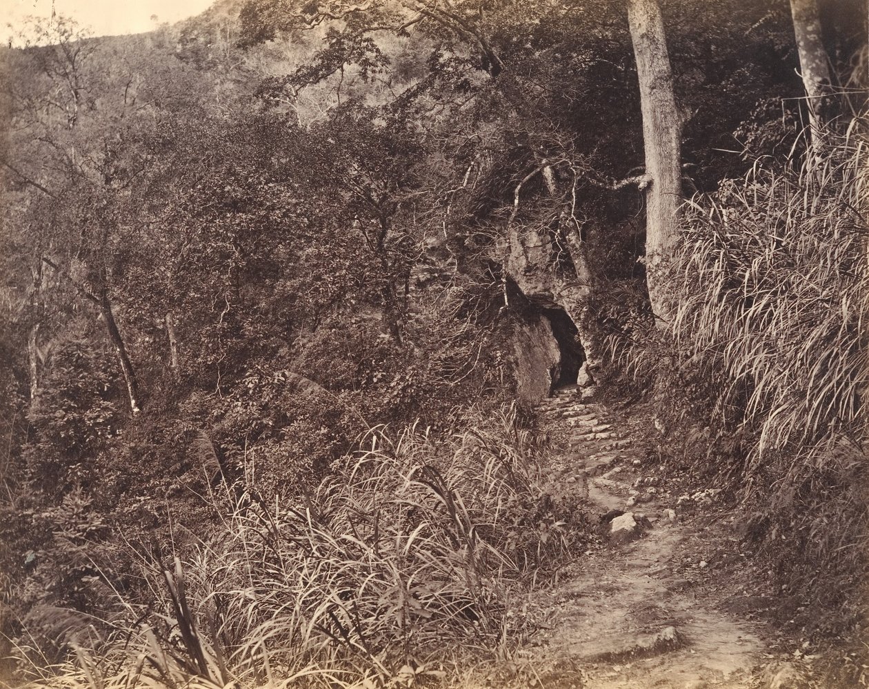 Venstre vej op til Yuen foo kloster, ca. 1869. af Afong Lai