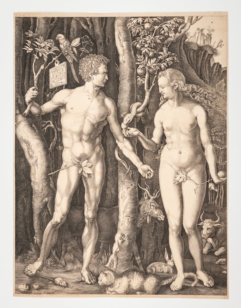 Adam og Eva i Edens Have - Albrecht Durer - 20-1932-109 af After Albrecht Dürer