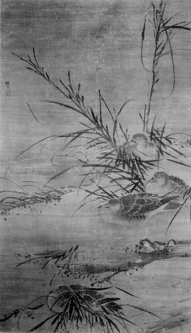 Ænder og rør. af After Lin Liang