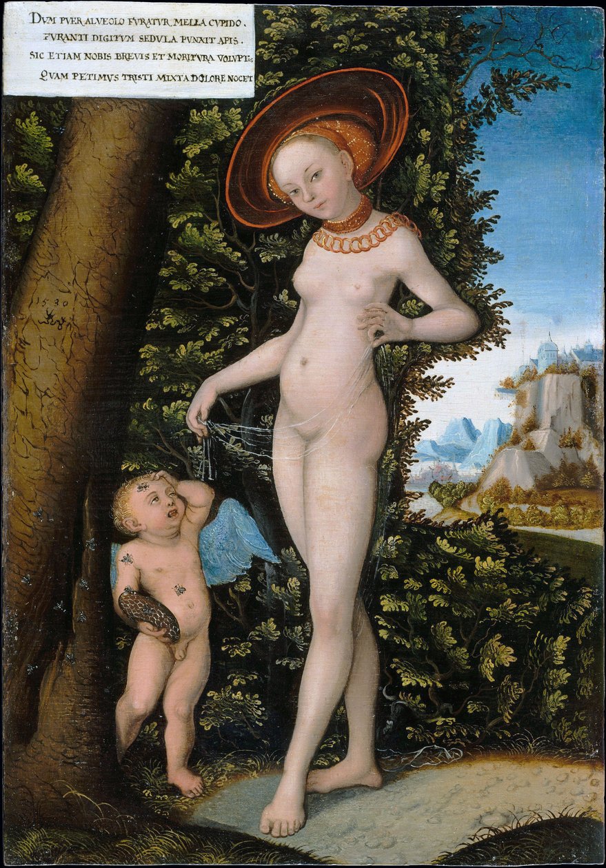 Venus og Amor, honningtyven af after Lucas Cranach the Elder