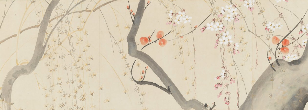 Blomster af de fire årstider, 1815. af after Sakai Hōitsu