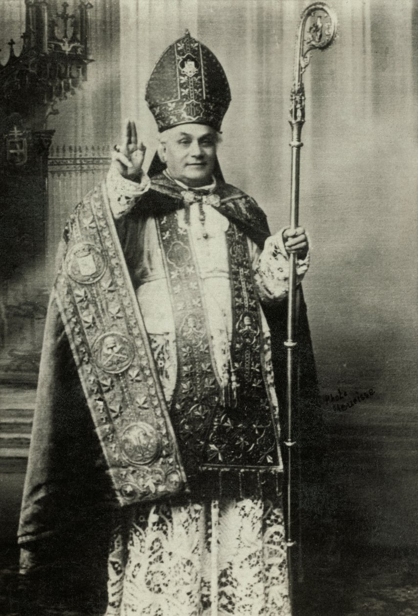 Portræt af kardinal Louis Lucon (foto) af Agence Meurisse